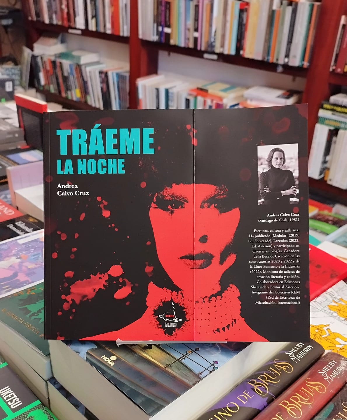 “Tráeme la noche”: el despliegue de una vida entre el asedio y la belleza